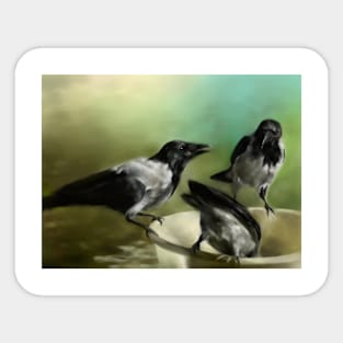 Hooded crows Sticker